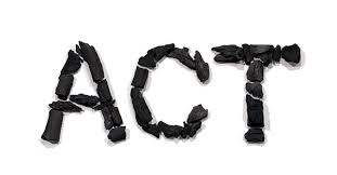 ACT PROGRAMI